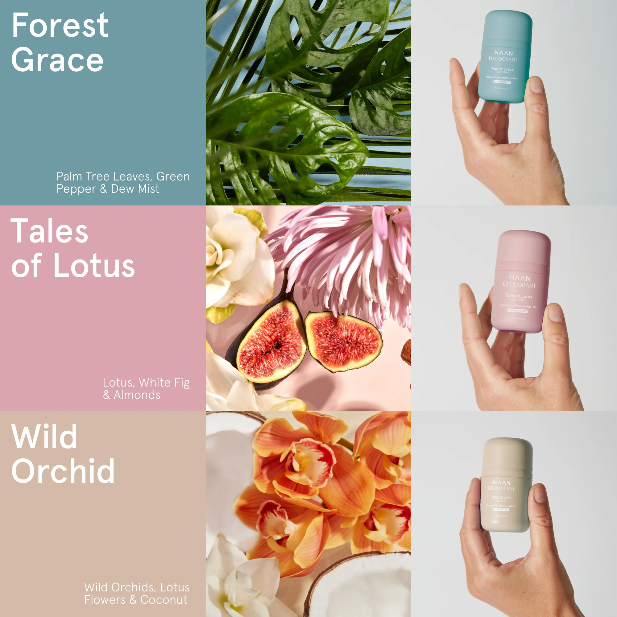 Deodorant Sensitive Refill Tales of Lotus - Image 3